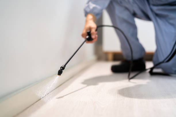 Professional exterminator conducting IPM assessment in Carbonville
